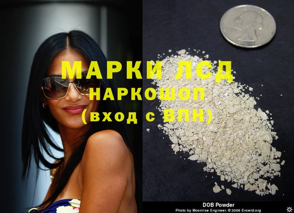 спиды Алзамай