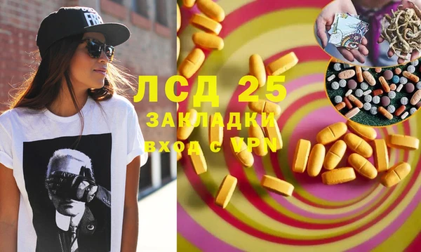 хмурый Алексин