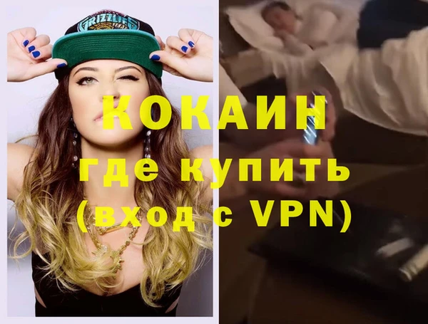 хмурый Алексин