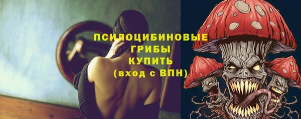 спиды Алзамай